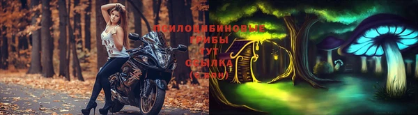 спиды Бронницы