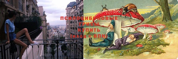 mdma Бородино