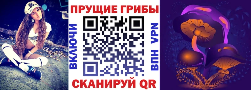 Галлюциногенные грибы мицелий  Кириллов 